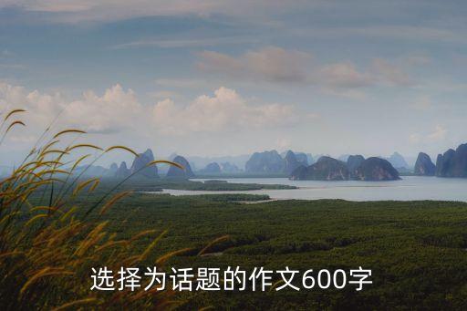 以選擇為話題的作文600字，求一篇關(guān)于選擇的話題作文