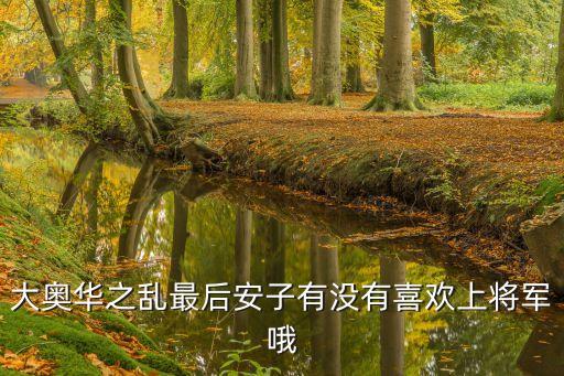 大奧華之亂，大奧華之亂最后安子有沒有喜歡上將軍哦
