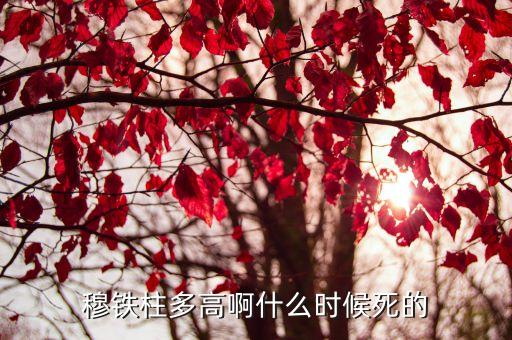 穆鐵柱身高，穆鐵柱身高是多少
