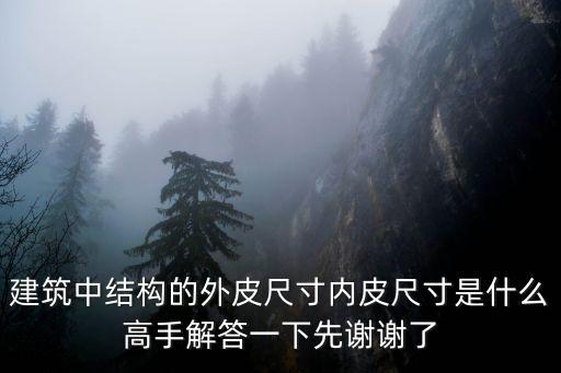 建筑中結構的外皮尺寸內皮尺寸是什么高手解答一下先謝謝了