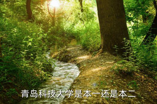 青島科技大學是一本還是二本，青島科技大學是一本還是二本