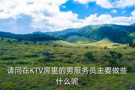 男服務員，請問在KTV房里的男服務員主要做些什么呢