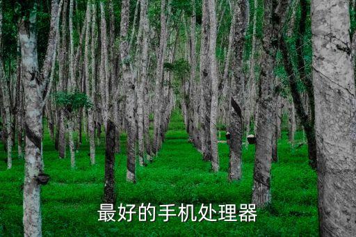 跑分排行，安卓手機跑分排行