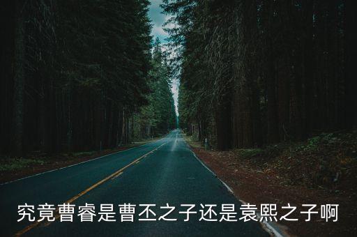 曹睿簡介，草樣年華作者曹睿是北京哪個大學的