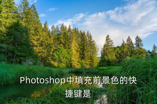 前景色填充快捷鍵，ps填充前景色快捷鍵是什么