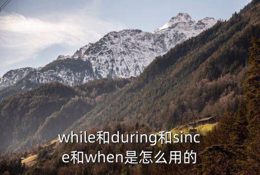 while和during和since和when是怎么用的