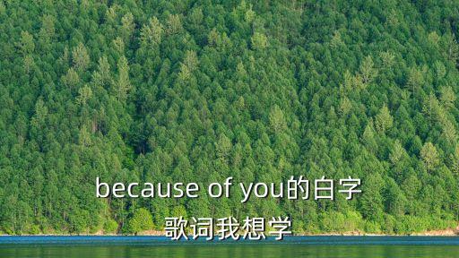 because of you的白字歌詞我想學