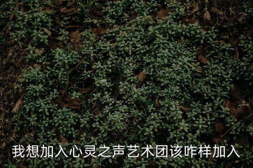 我想加入心靈之聲藝術(shù)團(tuán)該咋樣加入