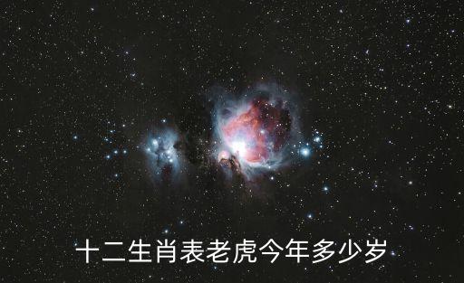 十二生肖表老虎今年多少歲