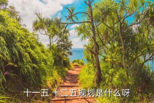 一二五規劃，一二五計劃的內容是什么