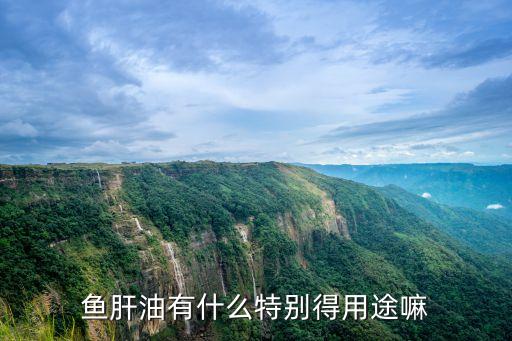 魚(yú)肝油的作用，魚(yú)肝油是治什么病的