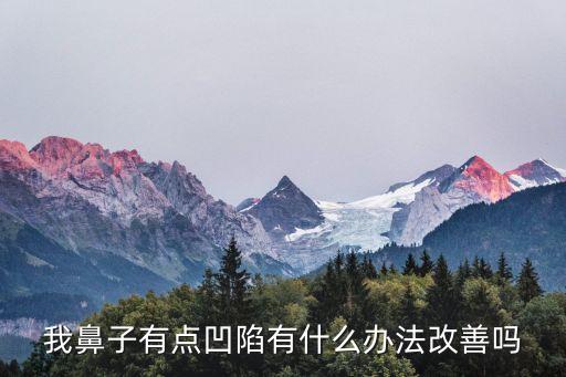 鼻子凹陷，鼻子輕微凹陷