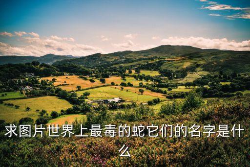 有毒圖片，有哪些美麗且有毒的花及圖片