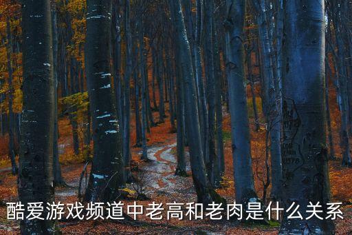 老肉，酷愛游戲頻道中老高和老肉是什么關系