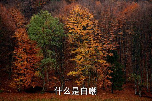 自嘲，自嘲是什么意思