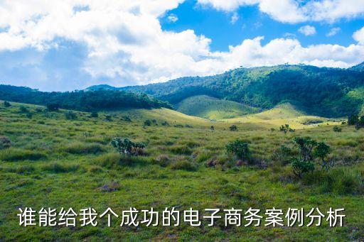 電子商務(wù)案例，中小企業(yè)電子商務(wù)案例