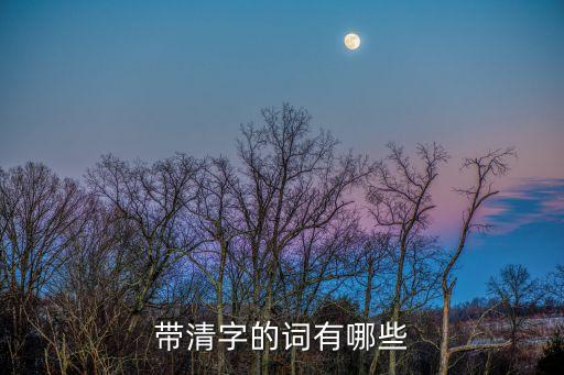 帶清字的詞有哪些