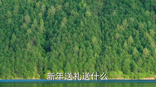 過年送禮，新年送禮送什么