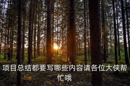 項目內容怎么寫，項目描述怎么寫呀