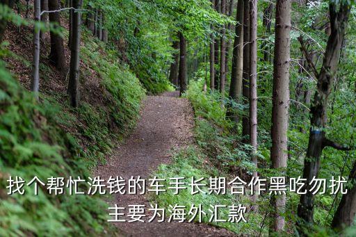 求合作洗黑錢，有誰要洗錢啊或者錢沒地方花