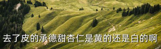 承德杏仁，去了皮的承德甜杏仁是黃的還是白的啊
