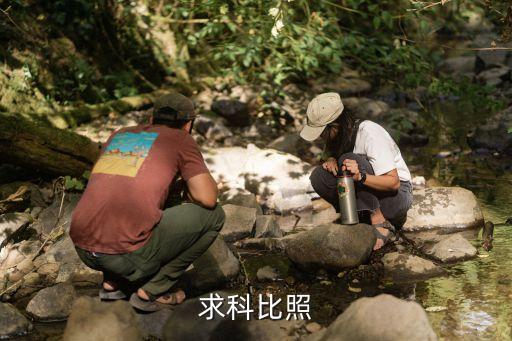 科比的照片，最代表科比的照片