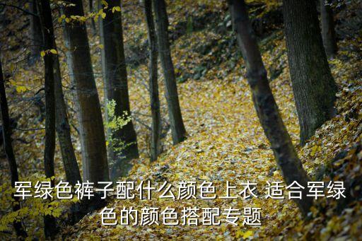 軍綠色褲子配什么顏色上衣，軍綠色褲子配什么顏色上衣 適合軍綠色的顏色搭配專題