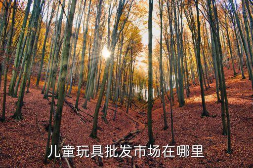 小孩玩具批發市場，哪里有批發小孩玩具阿