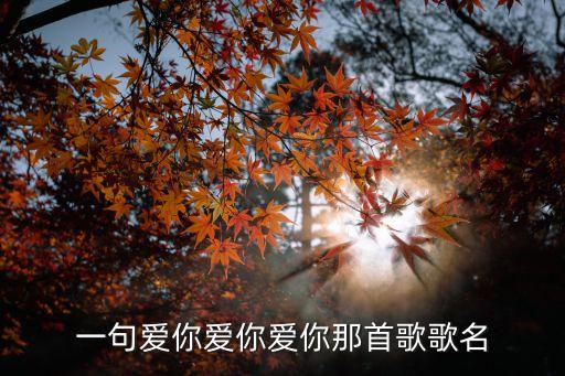 鄧紫棋愛你，有首歌歌詞里有oh給你我的心一句愛你愛你是什么歌啊