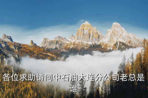 各位求助請問中石油大連分公司老總是誰