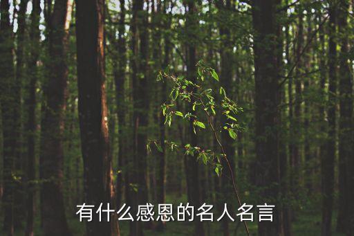 有什么感恩的名人名言