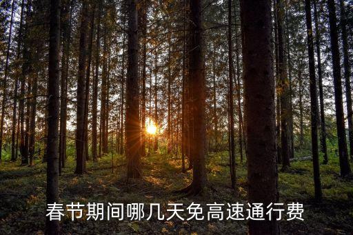 春節高速免費時間，春節期間高速公路免費日期是哪幾天