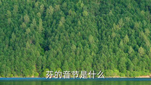 芬，芬的音節(jié)是什么