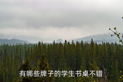 有哪些牌子的學生書桌不錯