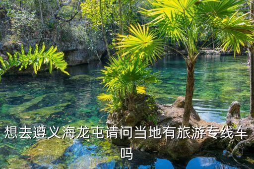遵義海龍屯景區(qū)，遵義海龍囤怎么去