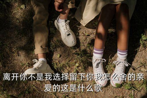 離開你不是我選擇留下你我怎么舍的親愛的這是什么歌