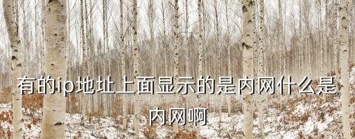 內(nèi)網(wǎng)是什么意思，通信網(wǎng)絡(luò)中 什么是內(nèi)網(wǎng)