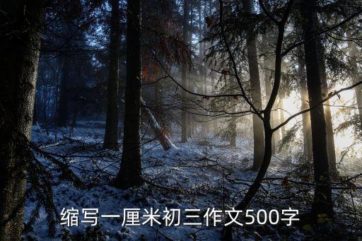 縮寫作文，縮寫作文怎么寫