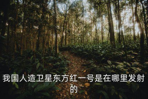 東方紅1號，東方紅一號衛星 有哪些特點和用處 急 急 急 急 急 急 拜托了在一分