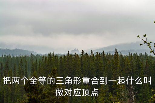 把兩個(gè)全等的三角形重合到一起什么叫做對(duì)應(yīng)頂點(diǎn)