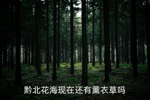 黔北花海，十月份去黔北花海還有花看嗎