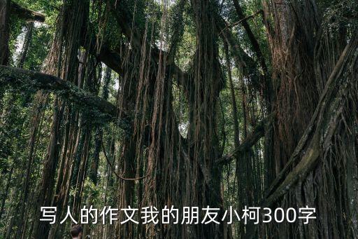 朋友作文300字，一個真實的朋友作文30o字