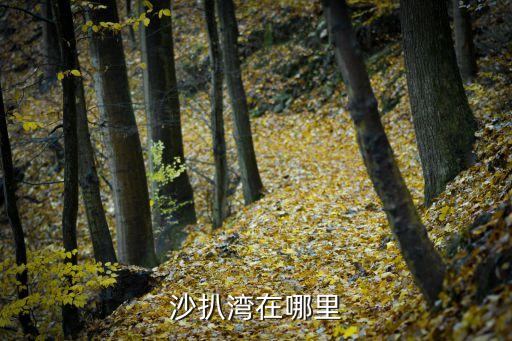 陽西沙扒灣，沙扒灣的具體地址