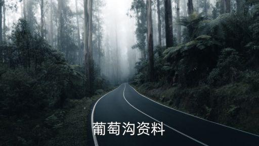 葡萄溝資料