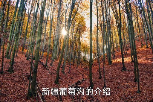葡萄溝，葡萄溝資料