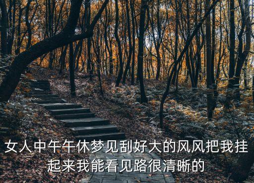 女人中午午休夢見刮好大的風風把我掛起來我能看見路很清晰的