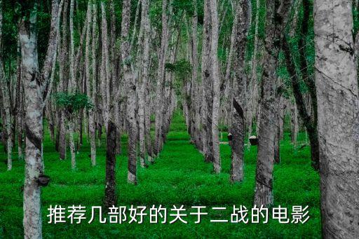 二戰電影推薦，二戰經典電影有哪些