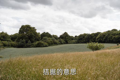 經(jīng)濟拮據(jù)，拮據(jù)的意思