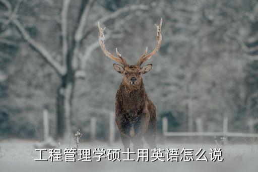 碩士研究生英文，工程管理學(xué)碩士用英語怎么說
