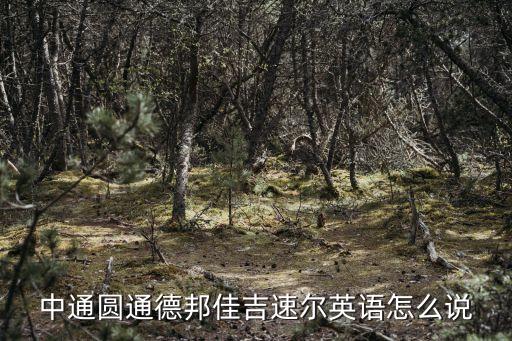 快遞的英文，快遞 英文翻譯